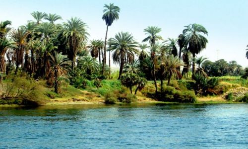 Zdjecie EGIPT / - / Luxor / Nad brzegami Nilu 3