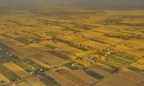 Zdjęcie EGIPT / Delta Nilu / Delta Nilu / Egipt z góry - rolnictwo