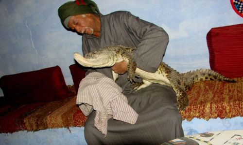 Zdjęcie EGIPT / Luxor / Nubijska wioska / Krokodylek