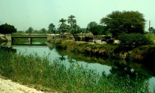 Zdjecie EGIPT / - / Luxor / Nad kanaem