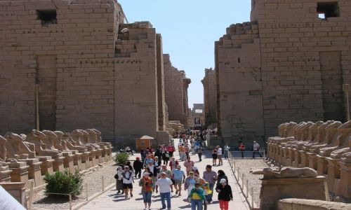 Zdjecie EGIPT / Luxor / Luxor / Muzeum w Luxorze