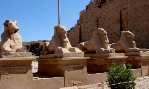 Zdjecie EGIPT / Luxor / Luxor / Muzeum w Luxorze