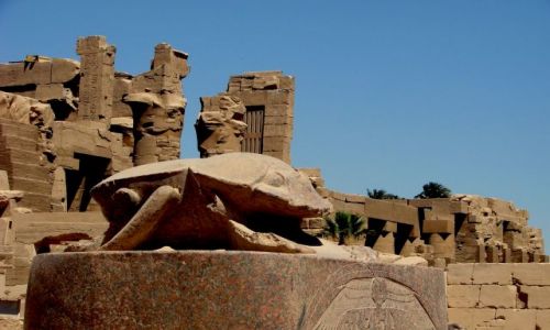 Zdjecie EGIPT / Luxor / Luxor / wity  uk