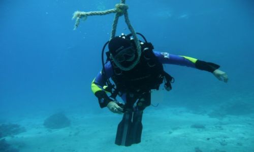Zdjecie EGIPT / hurghada / rafa koralowa namorzu czerwonym / takie sobie nurkowanie