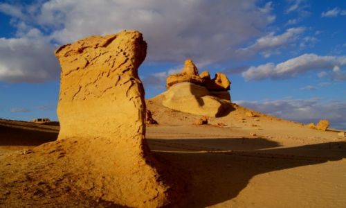 Zdjecie EGIPT / Sahara/Pustynia Zachodnia / Dolina Waleni- Wadi El Hitan / Konkurs