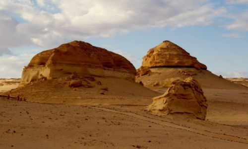 Zdjecie EGIPT / Pustynia Zachodnia / Dolina Waleni- Wadi El Hitan / Sahara