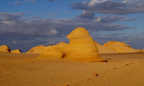 Zdjecie EGIPT / Pustynia Zachodnia / Dolina Waleni- Wadi El Hitan / Sahara