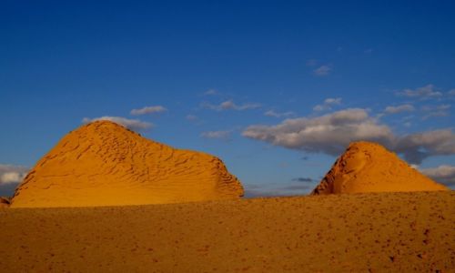 Zdjecie EGIPT / Pustynia Zachodnia / Dolina Waleni- Wadi El Hitan / Sahara