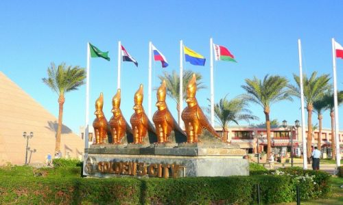 Zdjecie EGIPT / Hurghada / nowa Hurghada / ptaki zotego miasta
