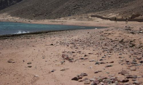 Zdjcie EGIPT / Polwysep Synaj / Dahab / Dahab