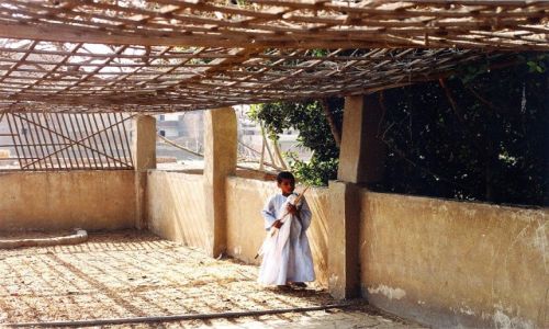 Zdjcie EGIPT / Kair /   / May Egipcjanin