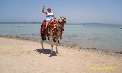 Zdjcie EGIPT / Sharm El Sheikh / Sharm / KONKURS