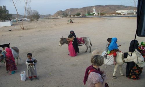 Zdjecie EGIPT / Luxor / pustynia / Samo ycie