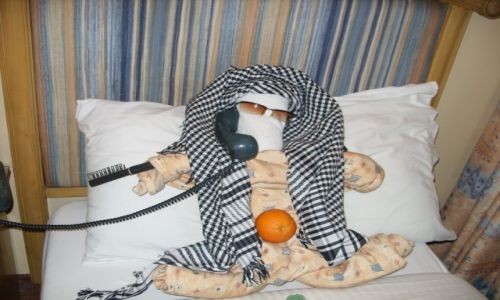 Zdjecie EGIPT / Luxor / statek / Hotelowe atrakcje