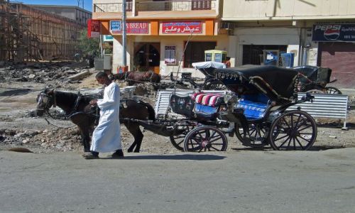 Zdjecie EGIPT / brak /  Luksor / -Środek transportu