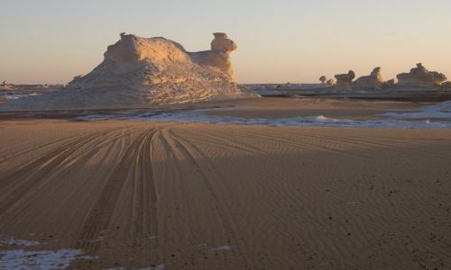 Zdjcie EGIPT / Sahara / Biaa Pustynia / Wielbd