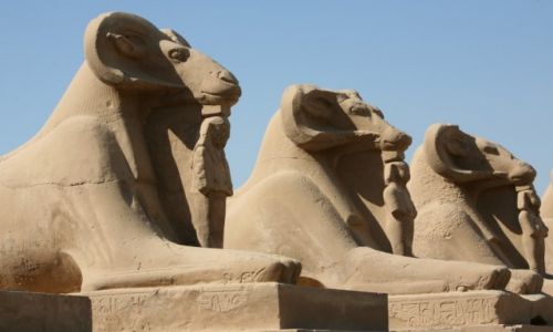 Zdjcie EGIPT / Grny Egipt / Karnak, witynia Amona-Re / Sfinksy