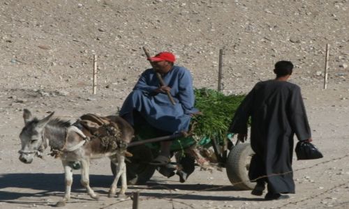 Zdjęcie EGIPT / Teby Zachodnie / Dolina Królów / Po drodze