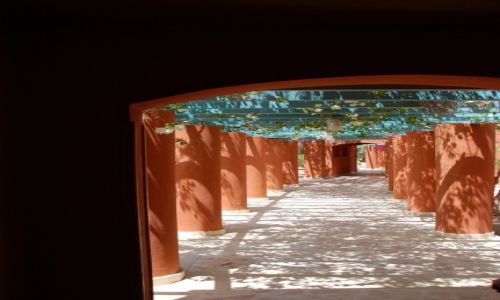 Zdjecie EGIPT / - / El Gouna / Black and...