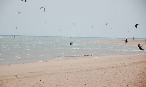 Zdjęcie EGIPT / - / El Gouna / Latawce.