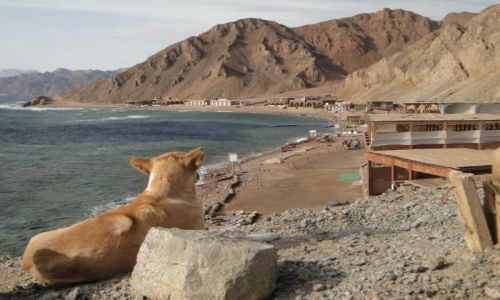 Zdjecie EGIPT / Synaj / Dahab / Spokj nad Blue Hole.