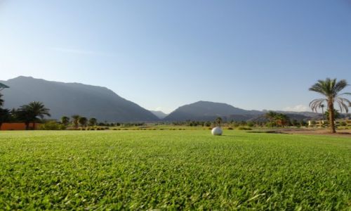 Zdjecie EGIPT / Synaj / Taba Heights / Pole golfowe w poudniowym Synaju