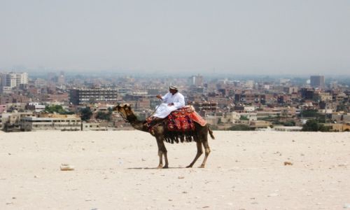 Zdjecie EGIPT / Giza / Giza / Egipt, Giza, Piramidy