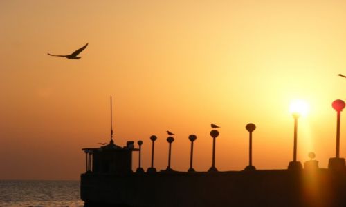 Zdjecie EGIPT / Hurghada / Hotel Ali baba / Wschd