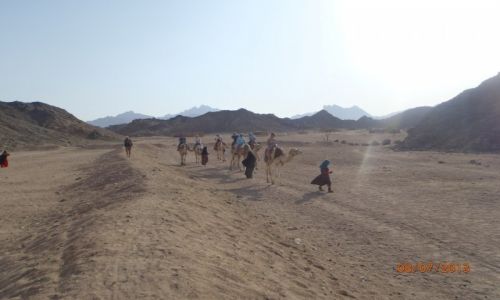 Zdjecie EGIPT / - / Hurgada / Pi�kno Egiptu