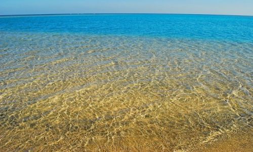 Zdjcie EGIPT / marsa el alam / marsa el alam / idealnie czysto