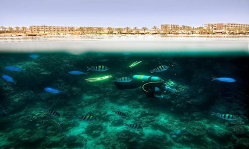 Zdjęcie EGIPT / Marsa Alam / Marsa Alam / Pasja ...
