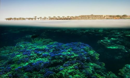 Zdjęcie EGIPT / Marsa Alam / Marsa Alam / dwa swiaty