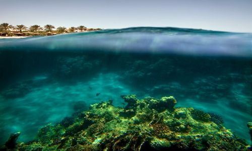 Zdjęcie EGIPT / Marsa Alam / Marsa Alam / dwa swiaty ...