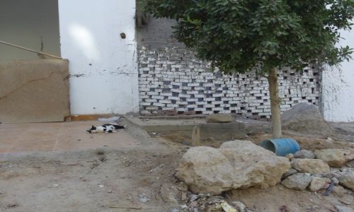 Zdjecie EGIPT / Hurghada / centrum / ulica
