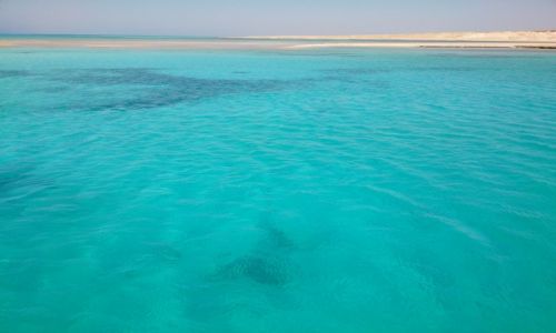 Zdjecie EGIPT / SHARM EL SHEIK / MORZE / EGIPT wyprawa do wolno�ci