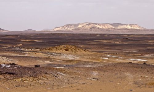 Zdjcie EGIPT / Sahara / tam / Czarna Pustynia