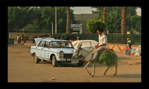 Zdjecie EGIPT / giza / giza / giza-