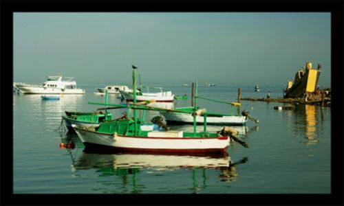Zdjecie EGIPT / hurgada / hurghada / hurghada-port