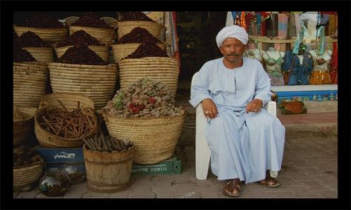 Zdjecie EGIPT / hurgada / bazar / sprzedawca