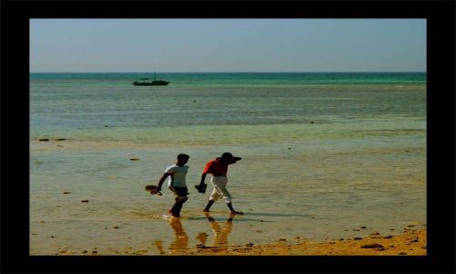 Zdjecie EGIPT / hurghada port przy akwarium  / hurghada / tam gdzie morze daje chleb