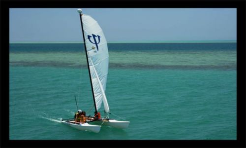 Zdjęcie EGIPT / El Gouna / El Gouna / migawka z El Gouna
