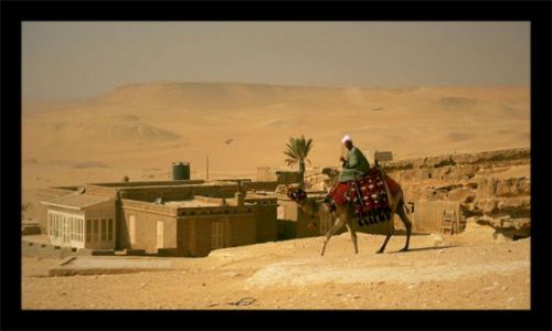 Zdjecie EGIPT / Giza / Giza / Giza