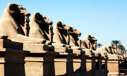 Zdjecie EGIPT / Grny Egipt / Karnak, witynia Amona-Re / Aleja sfinksw