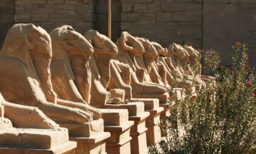 Zdjcie EGIPT / Grny Egipt / Karnak, witynia Amona-Re / Aleja sfinksw, fragment