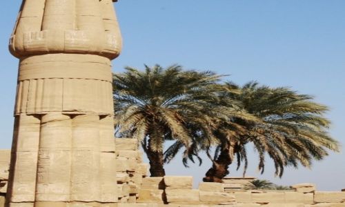 Zdjecie EGIPT / Grny Egipt / Karnak, witynia Amona-Re / Palmy w ruinach