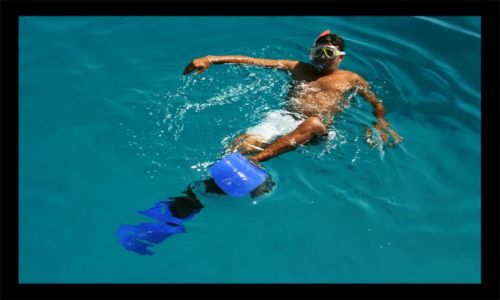 Zdjecie EGIPT / rl gouna / el gouna / el gouna