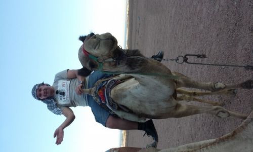 Zdjecie EGIPT / -Sharm al Sheik / Sharm al Sheik / Egipt 2015