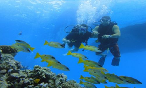 Zdjecie EGIPT / Sharm al Sheik / Sharm al Sheik  Błękitna Laguna / Egipt 2015