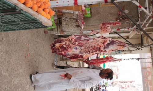 Zdjęcie EGIPT / -afryka / Hurgada / Mięso