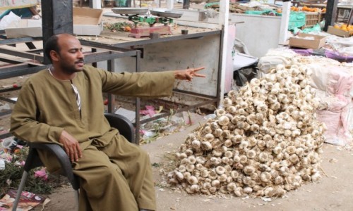 Zdjęcie EGIPT / -afryka / Hurgada / czosnek